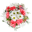 This radiant bouquet, created in the heart of Harrow on the Hill, captures the spirit of renewal that defines springtime from The Hill's meadows to the High Street's cheerful shopfronts. Bursting with crisp white daisies, each centered with a pop of lime green, and ruffled coral-pink carnations, this arrangement offers a soft, uplifting harmony. Wisps of baby's breath drift through the blooms, evoking the lightness of morning fog rolling over nearby Old Redding. Subtle hints of alstroemeria buds-brushed with pale purple and soft pink-peek out from amid graceful eucalyptus leaves and verdant foliage, rounding out the palette in celebration of local nature's diversity. Designed to convey joy, gratitude, or gentle encouragement, the rounded, balanced design feels both tranquil and exuberant. Perfect for local birthdays, anniversaries, or to brighten a friend's day, this bouquet radiates warmth and care-an authentic testament to Harrow on the Hill's floral craftsmanship and community spirit.